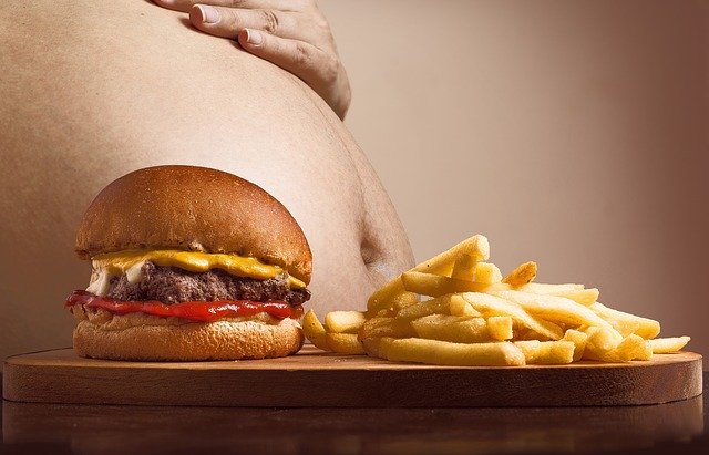 tlusté břicho s nezdravým hamburgerem